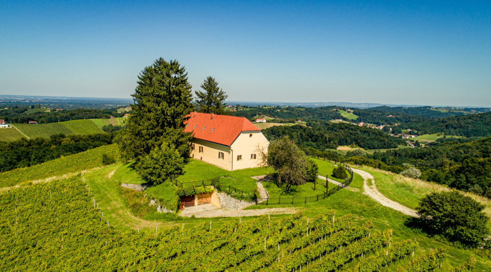 Banfi Manor, Croatia